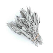 Sauge blanche feuilles séchées Salvia apiana | Encens de Californie