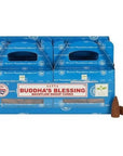 Encens Satya Bénédiction de Bouddha cônes backflow à refoulement | 24 cônes à reflux