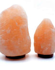 Lampe de sel de l'Himalaya rose forme naturelle brute | Taillée à la main