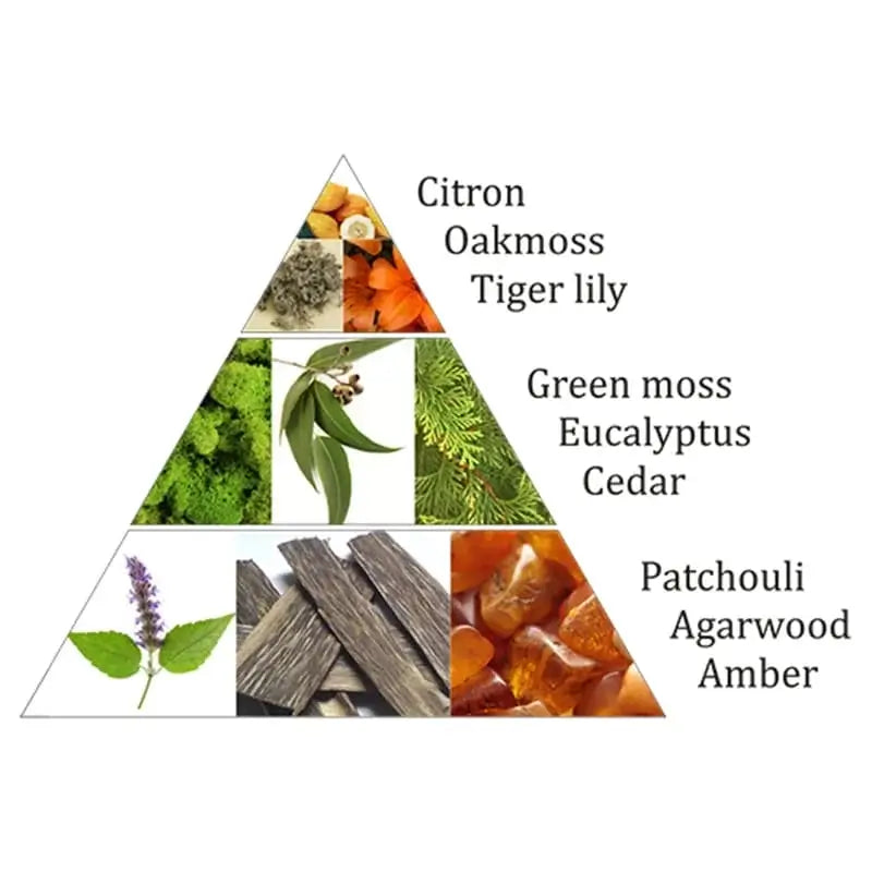 Briques d'encens Forêt Aromafume | 9 briques naturelles fait-main