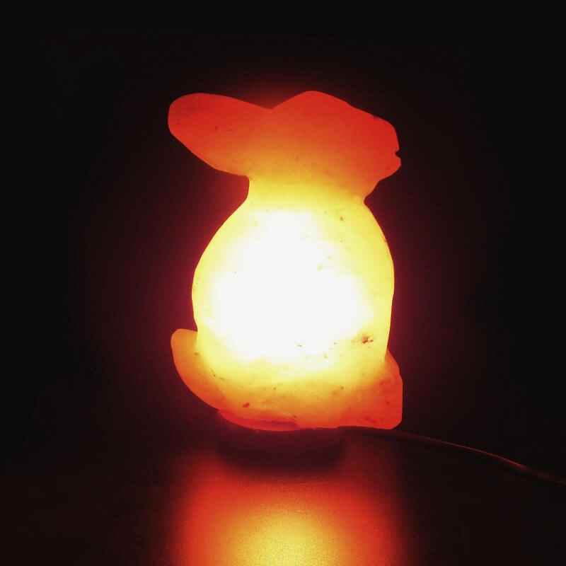 Lampe de sel de l'Himalaya rose Lapin 22cm 2kg | Taillée à la main